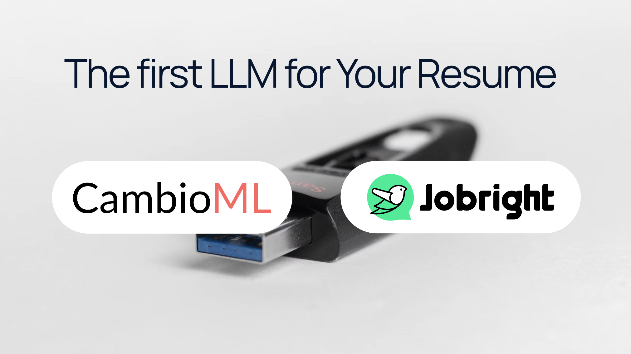 First llm for your resume